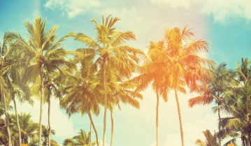 featured Blog Post