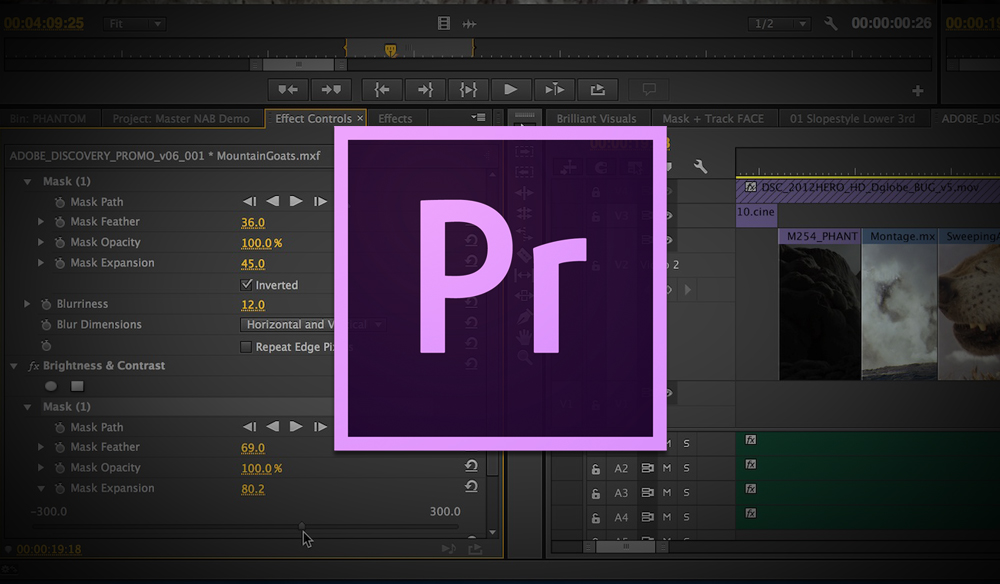 adobe premiere pro green screen key