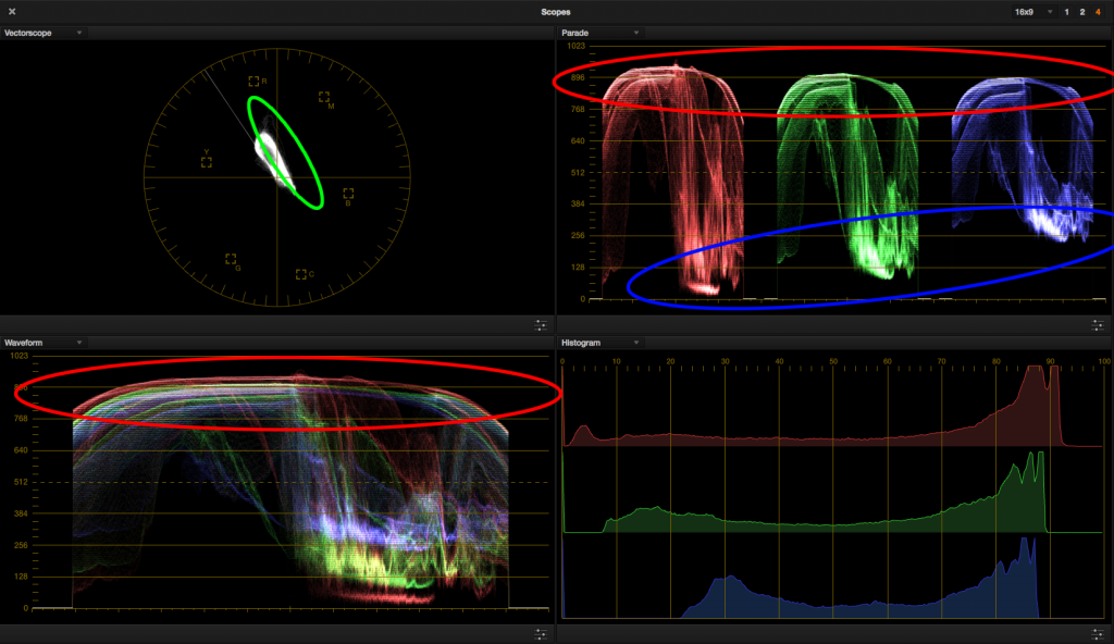 Look 2 - Reference Scopes Circled