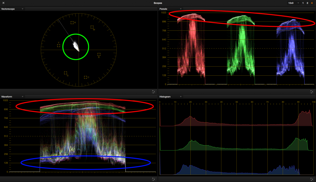 look 3 - reference scopes circled