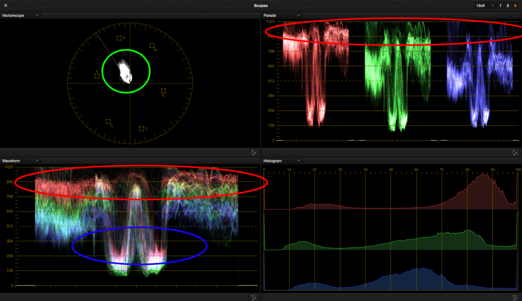 look 4 - reference scopes circled