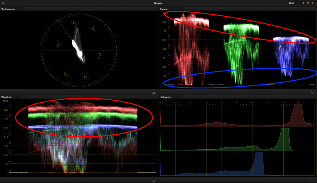 Texting on Beach Scopes