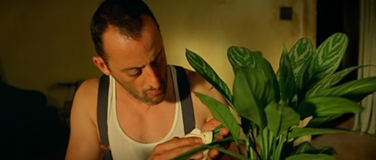 10 Things to Buy for Your Editing Workstation under $200: Get a plant