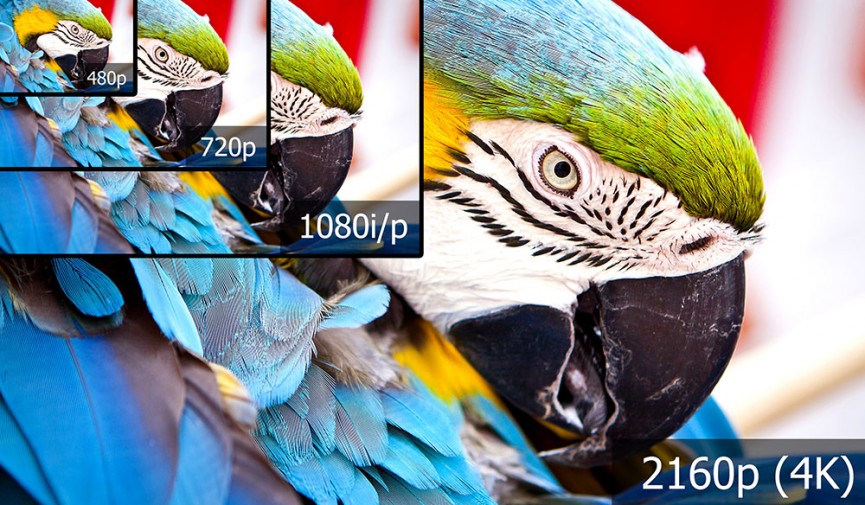 4K Cover