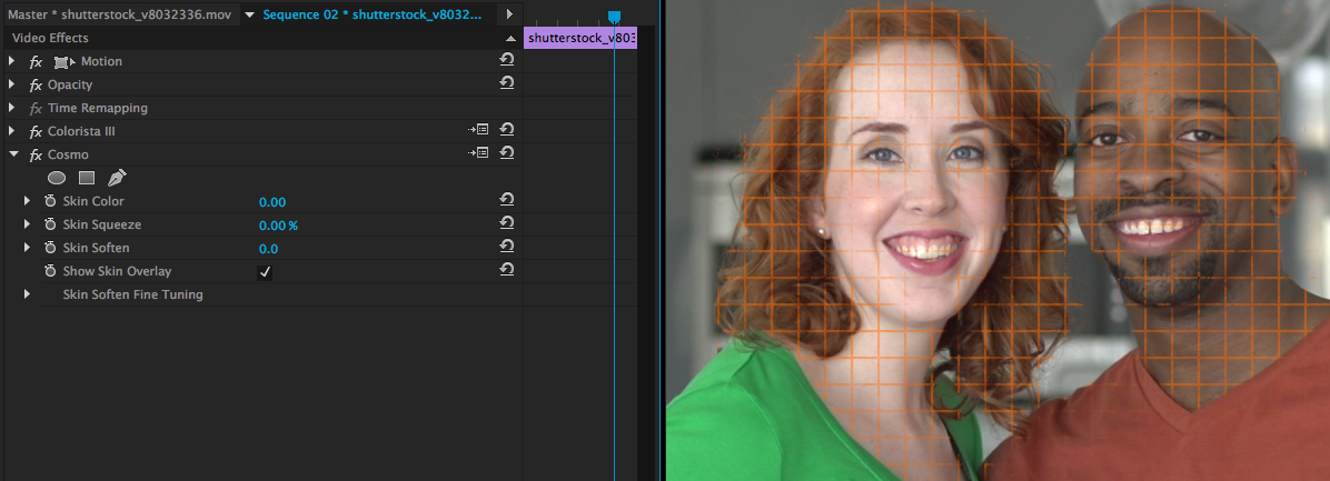 Color Grading Without a Precisely Calibrated Monitor: show skin overlay