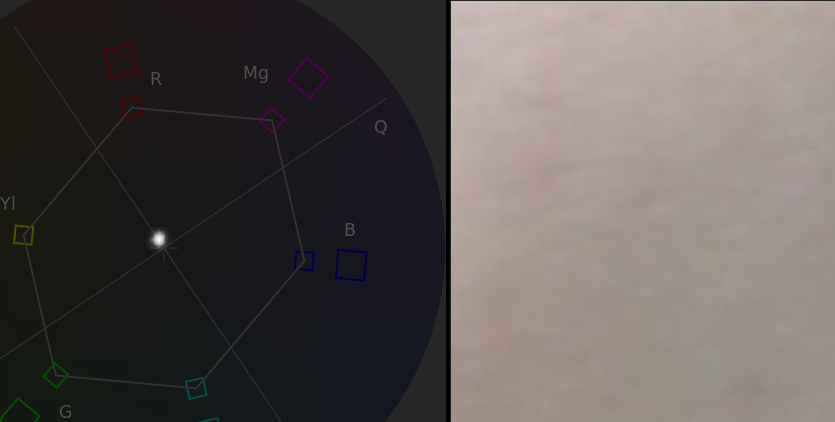 Color Grading Without a Precisely Calibrated Monitor: Working with skin tones Color Grading Without a Precisely Calibrated Monitor: Working with skin tones, part two