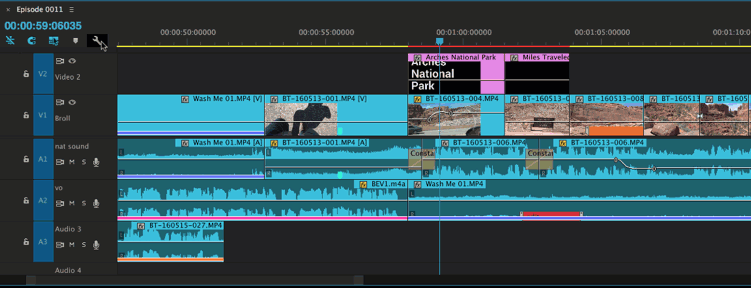 Video Tutorial: Customize the Premiere Pro Timeline - Show Video Thumbnails