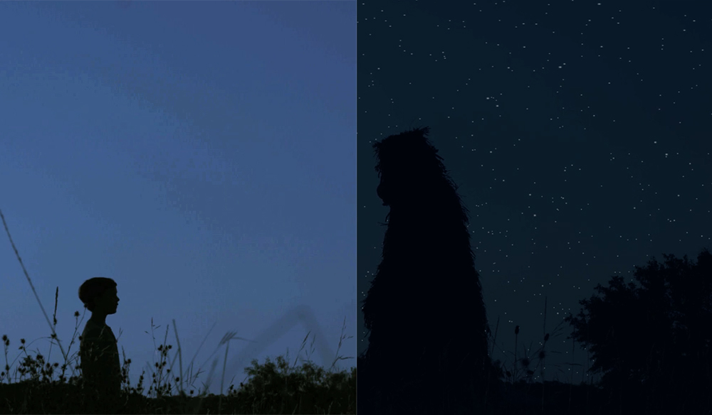 7 Indie Filmmaking Tips for Shooting Day for Night