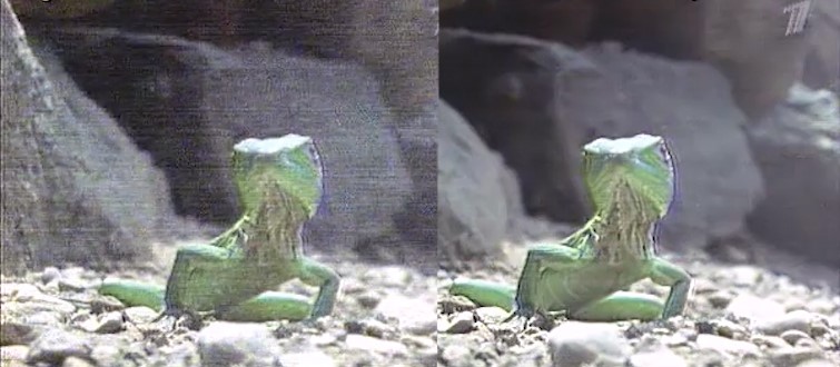 Understanding Image Noise in Your Film and Video Projects — Interference Noise Understanding Image Noise in Your Film and Video Projects — Interference Noise