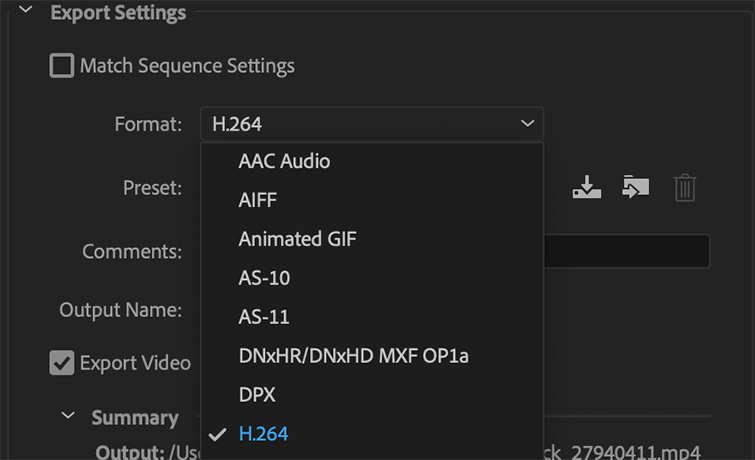 premiere pro video codec