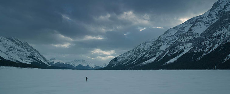 Industry Insights Cinematography The Emmanuel Lubezki Way