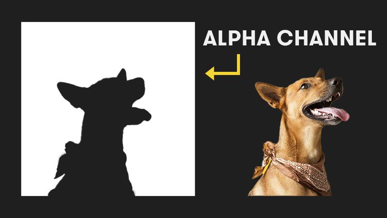 Qu Es El Canal Alpha En After Effects TYAQZG Qu Es El Canal Alpha En After Effects TYAQZG
