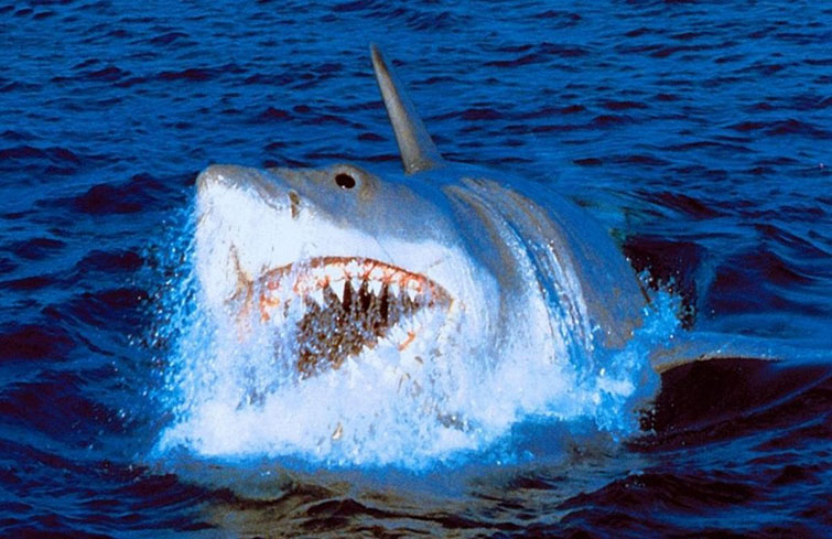 Jaws: The Revenge